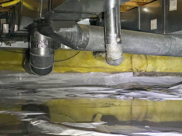 Best Water damage restoration near me  in Perry, MI