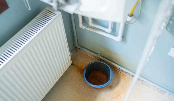 Best Local water damage restoration  in Perry, MI