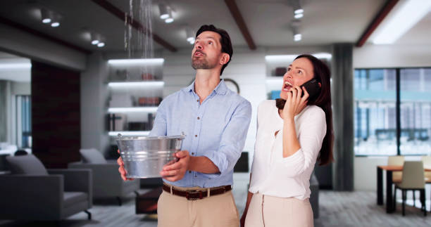 Best Sewage cleanup and water damage restoration  in Perry, MI